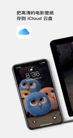 Movy高清壁纸安卓版图1