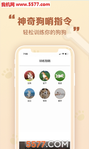 考拉人狗翻译器