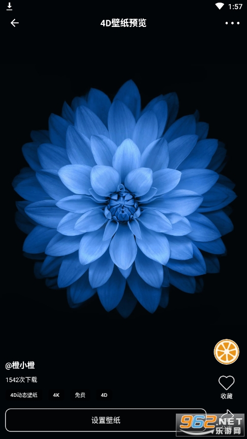 橙子4D动态壁纸