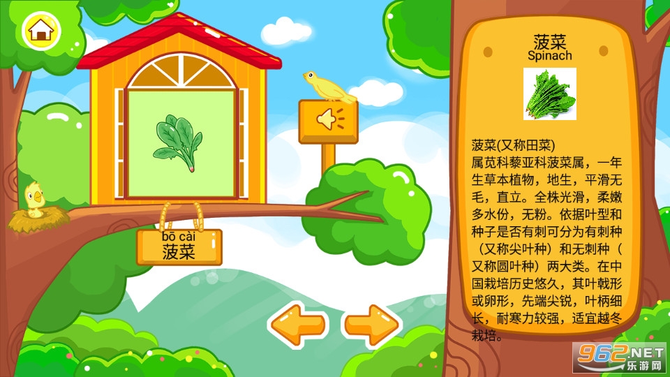 儿童宝宝早教乐园