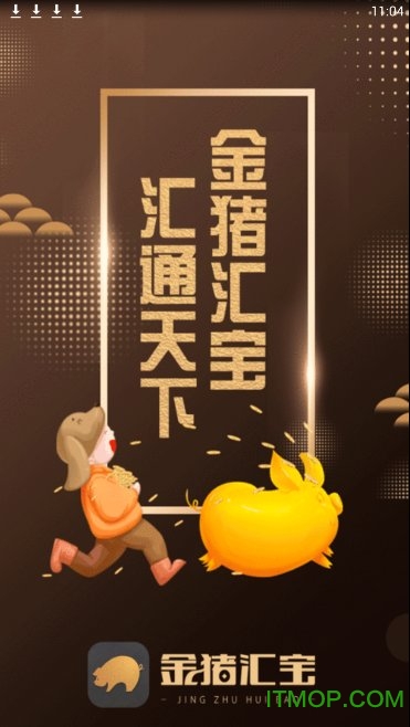 金猪汇宝