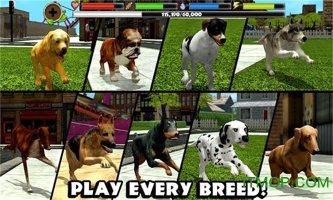 野狗生存模拟器3D4