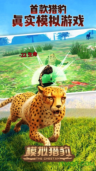 模拟猎豹中文版(4)