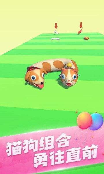 阿猫阿狗大挑战