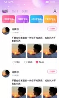 快速聊视频交友-图3